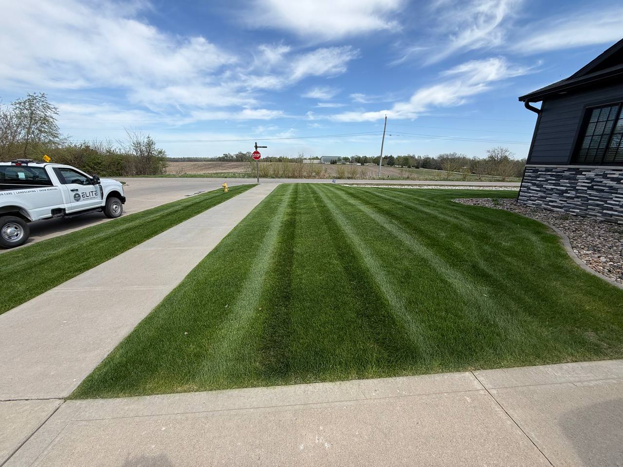 Freshly striped residential lawn
