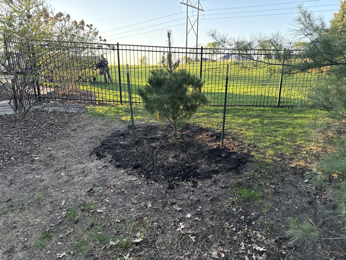 Landscape bed cleanup and mulch prep
