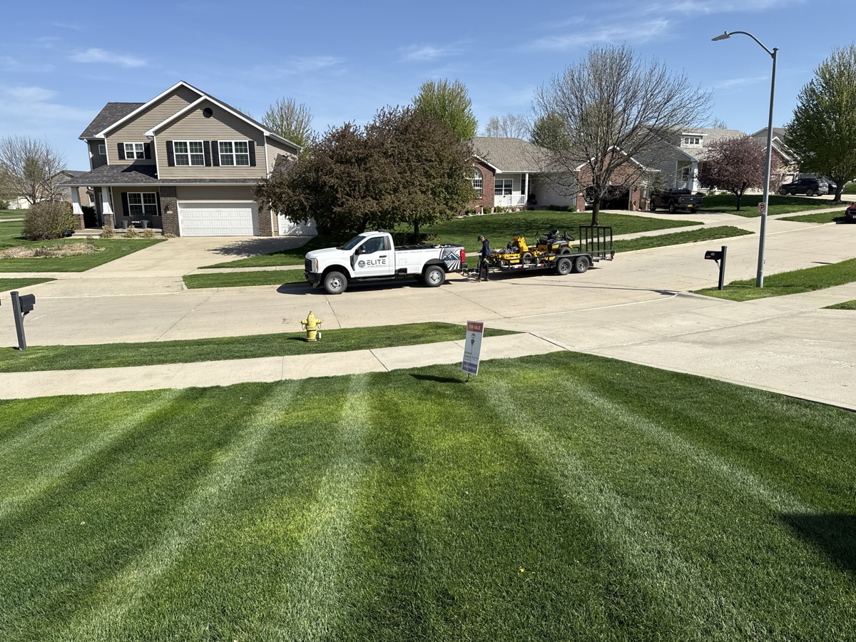Residential lawn care with striped yard