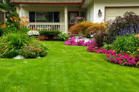Lawn Maintenance Packages Thumbnail