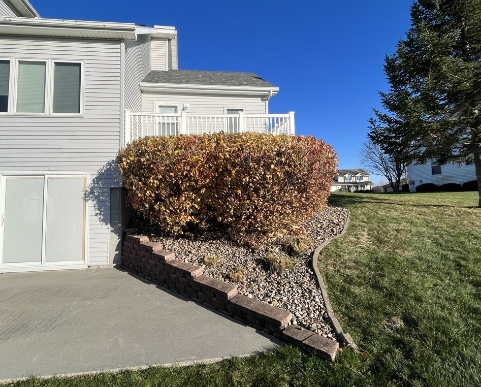 Shrub & Hedge Trimming Thumbnail