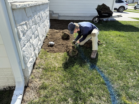 Sod Installation