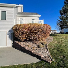 Shrub trimming